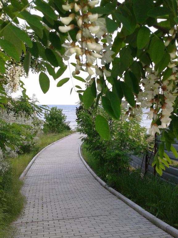 Family Нouse -Нotel Asai Ravda Kültér fotó